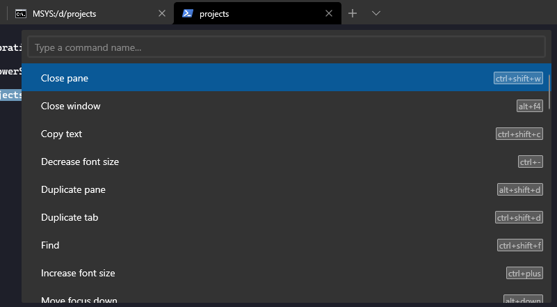 Command Palette in Windows Terminal.