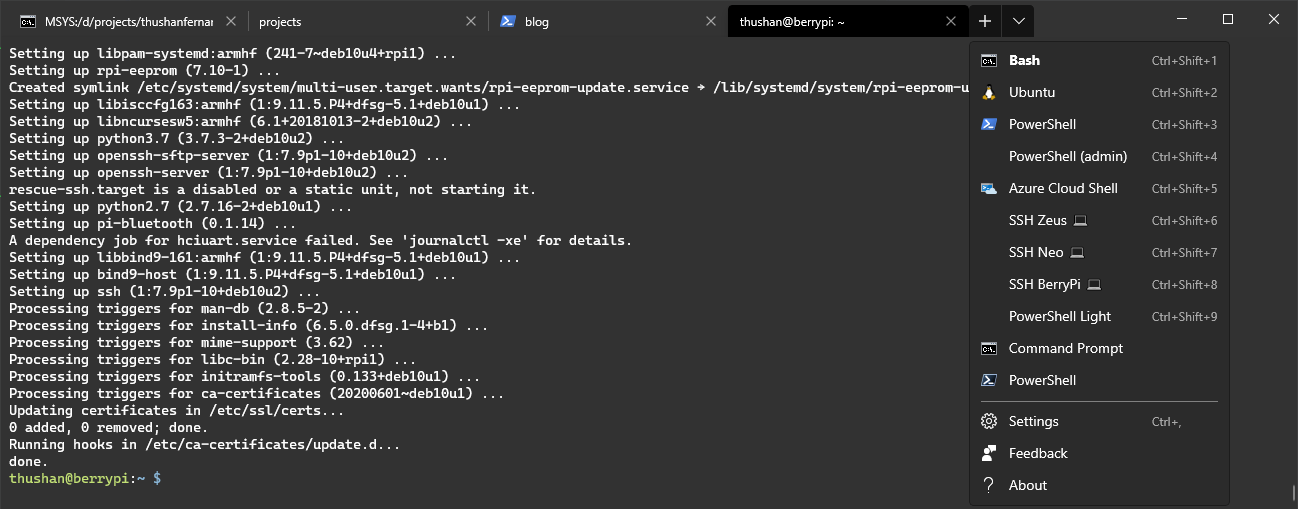 Windows Terminal with SSH profiles to common endpoints.